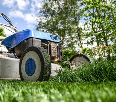 A-1 Discount Tree & Lawn Service gallery 2